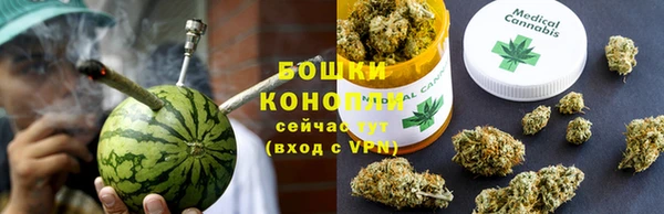 кокс Гатчина