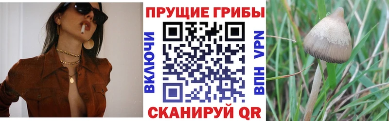Псилоцибиновые грибы мухоморы  Певек 